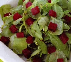 Pancarlı Semizotu Salatası